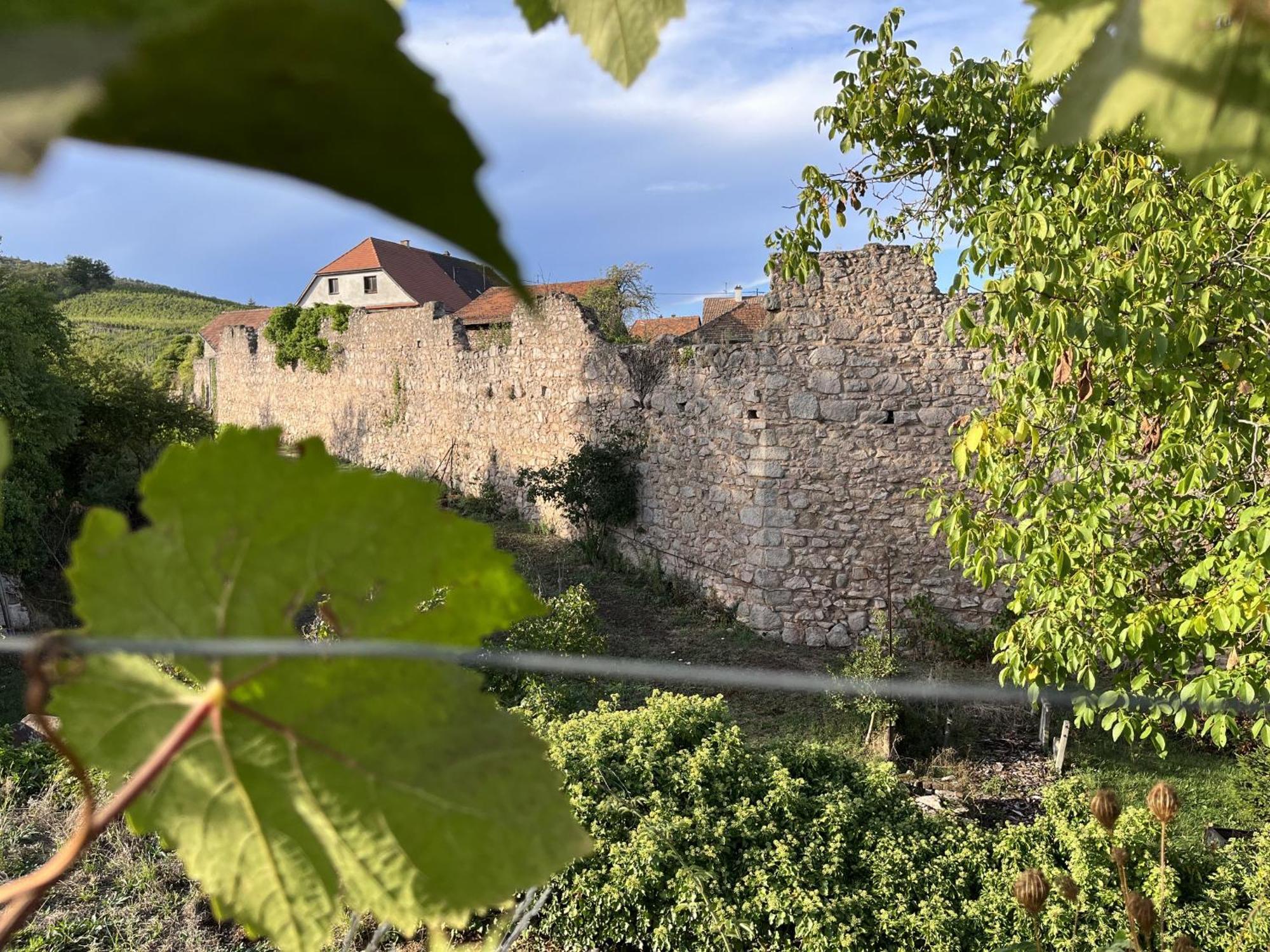 فندق Le Refuge Du Rempart Dambach الغرفة الصورة