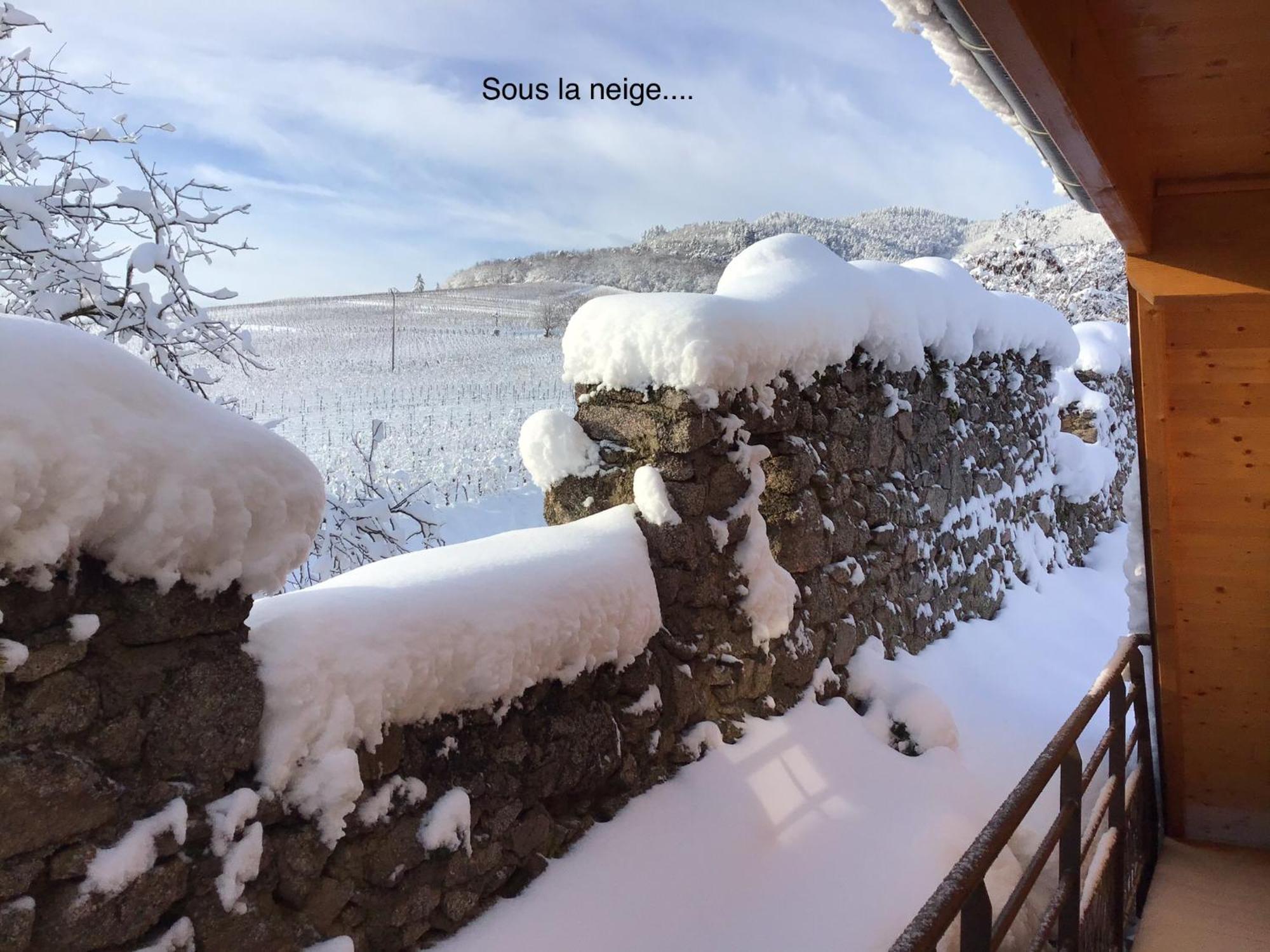 فندق Le Refuge Du Rempart Dambach الغرفة الصورة